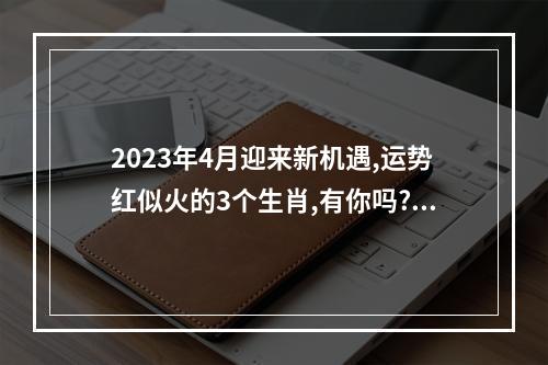 2023年4月迎来新机遇,运势红似火的3个生肖,有你吗? 2023属鸡的事业运