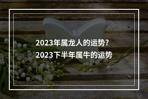 2023年属龙人的运势? 2023下半年属牛的运势