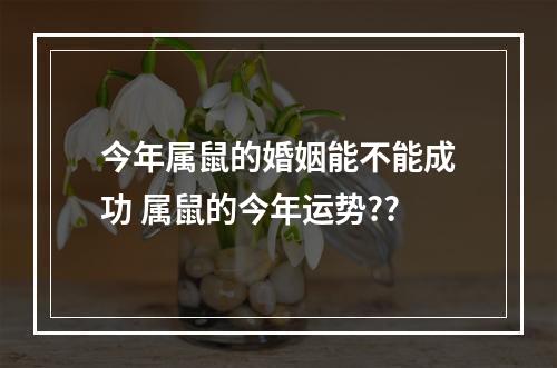 今年属鼠的婚姻能不能成功 属鼠的今年运势??