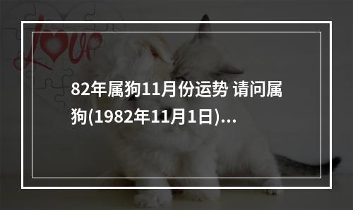 82年属狗11月份运势 请问属狗(1982年11月1日)财运和爱情是什么样的