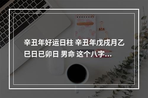 辛丑年好运日柱 辛丑年戊戌月乙巳日已卯日 男命 这个八字如何?
