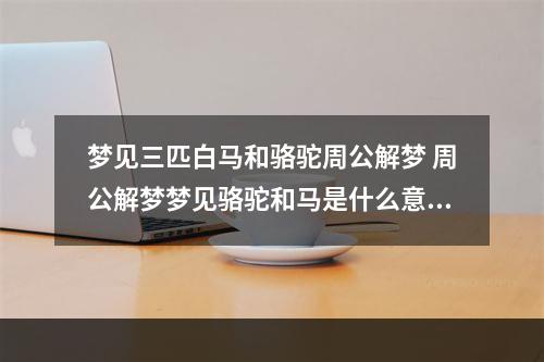梦见三匹白马和骆驼周公解梦 周公解梦梦见骆驼和马是什么意思