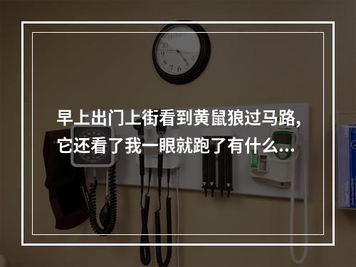 早上出门上街看到黄鼠狼过马路,它还看了我一眼就跑了有什么预兆_百度知 ... 看见黄大仙过马路