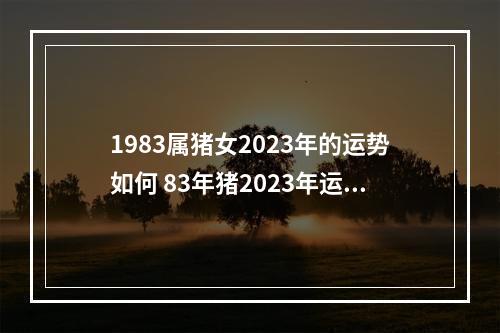 1983属猪女2023年的运势如何 83年猪2023年运势怎么样女