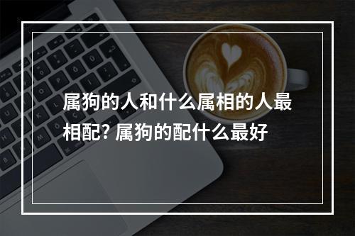 属狗的人和什么属相的人最相配? 属狗的配什么最好