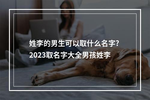 姓李的男生可以取什么名字? 2023取名字大全男孩姓李