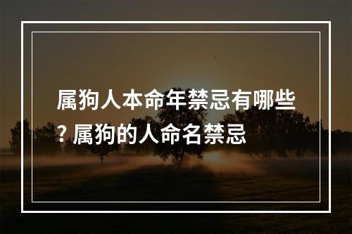 属狗人本命年禁忌有哪些? 属狗的人命名禁忌