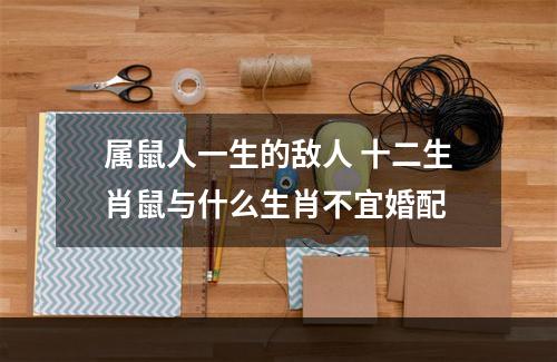 属鼠人一生的敌人 十二生肖鼠与什么生肖不宜婚配