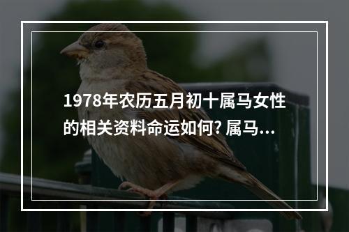1978年农历五月初十属马女性的相关资料命运如何? 属马女农历五月出生的命运