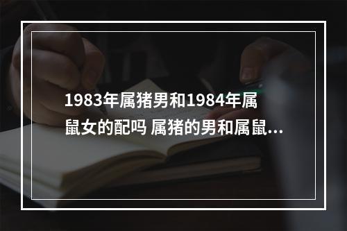 1983年属猪男和1984年属鼠女的配吗 属猪的男和属鼠的女可不可以