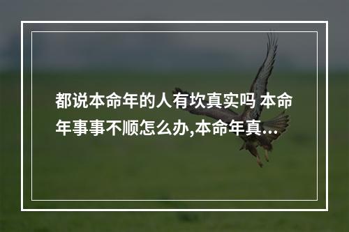都说本命年的人有坎真实吗 本命年事事不顺怎么办,本命年真的会不顺吗?