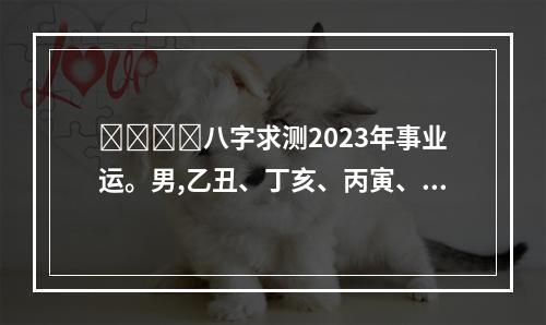 ￼￼￼￼八字求测2023年事业运。男,乙丑、丁亥、丙寅、戊戌... 2023年流年八字