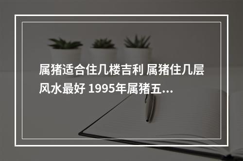 属猪适合住几楼吉利 属猪住几层风水最好 1995年属猪五行属火住哪层楼有利