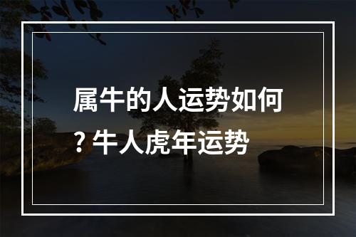 属牛的人运势如何? 牛人虎年运势