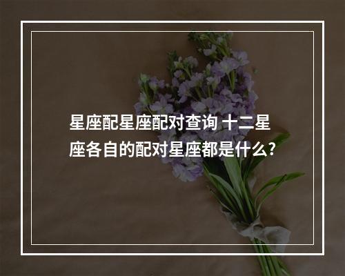 星座配星座配对查询 十二星座各自的配对星座都是什么?