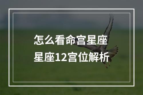 怎么看命宫星座 星座12宫位解析