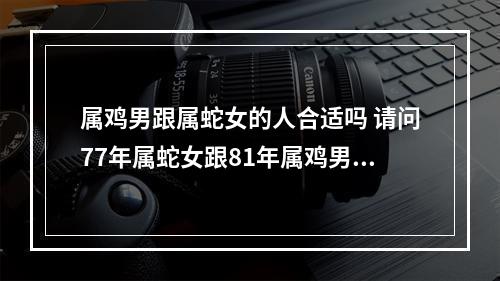 属鸡男跟属蛇女的人合适吗 请问77年属蛇女跟81年属鸡男配不配