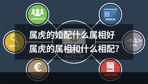 属虎的婚配什么属相好 属虎的属相和什么相配?