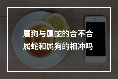 属狗与属蛇的合不合 属蛇和属狗的相冲吗