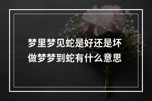 梦里梦见蛇是好还是坏 做梦梦到蛇有什么意思