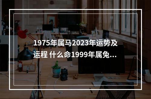 1975年属马2023年运势及运程 什么命1999年属兔的是什么命