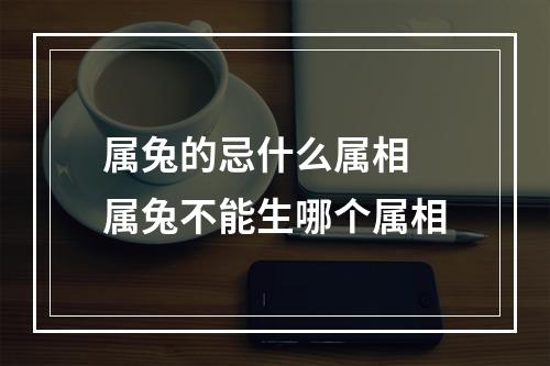 属兔的忌什么属相 属兔不能生哪个属相