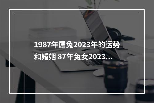 1987年属兔2023年的运势和婚姻 87年兔女2023年运势及运程?