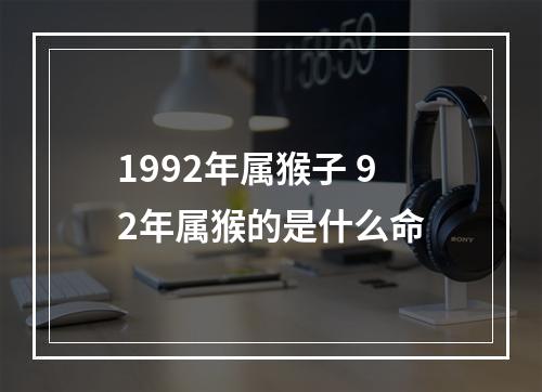 1992年属猴子 92年属猴的是什么命