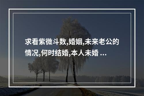 求看紫微斗数,婚姻,未来老公的情况,何时结婚,本人未婚 紫微斗数看何时结婚