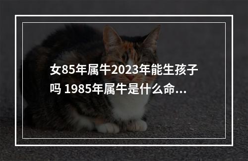 女85年属牛2023年能生孩子吗 1985年属牛是什么命女