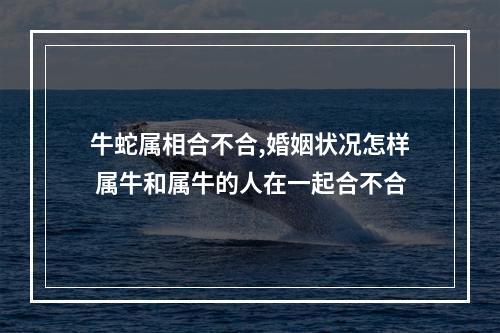 牛蛇属相合不合,婚姻状况怎样 属牛和属牛的人在一起合不合