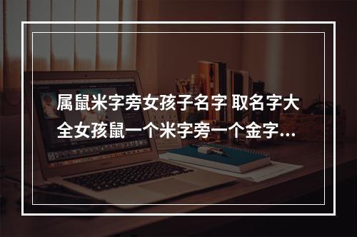 属鼠米字旁女孩子名字 取名字大全女孩鼠一个米字旁一个金字旁观者