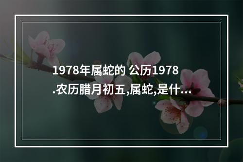 1978年属蛇的 公历1978.农历腊月初五,属蛇,是什么命