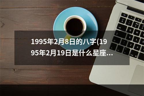 1995年2月8日的八字(1995年2月19日是什么星座)