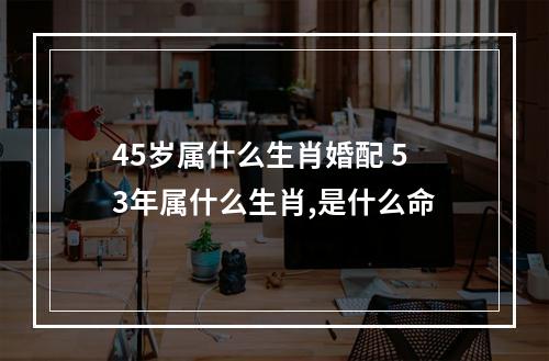 45岁属什么生肖婚配 53年属什么生肖,是什么命