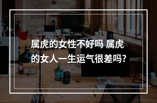 属虎的女性不好吗 属虎的女人一生运气很差吗?