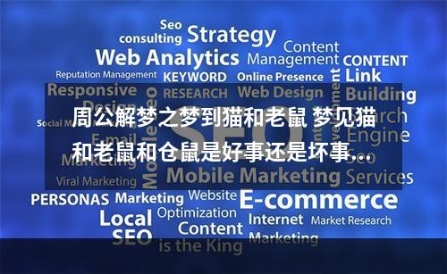 周公解梦之梦到猫和老鼠 梦见猫和老鼠和仓鼠是好事还是坏事?