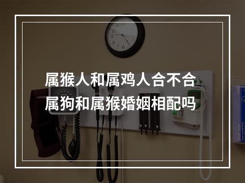 属猴人和属鸡人合不合 属狗和属猴婚姻相配吗
