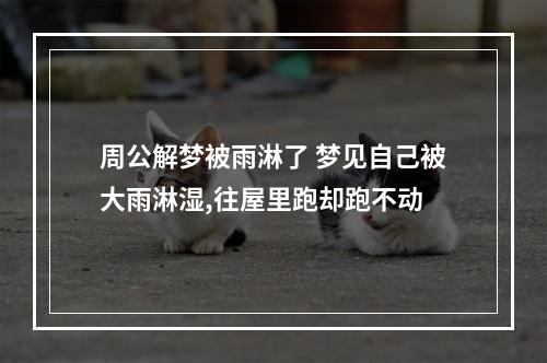 周公解梦被雨淋了 梦见自己被大雨淋湿,往屋里跑却跑不动