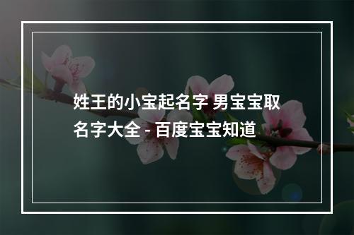 姓王的小宝起名字 男宝宝取名字大全 - 百度宝宝知道