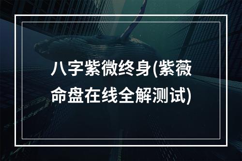 八字紫微终身(紫薇命盘在线全解测试)