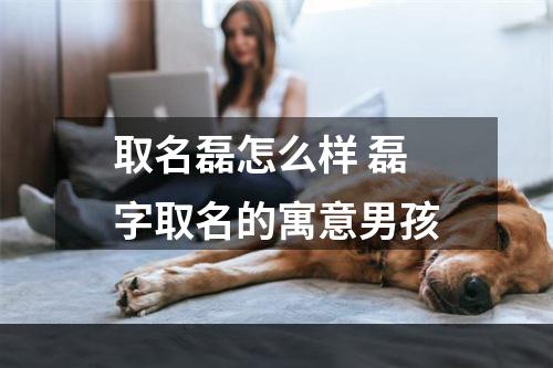 取名磊怎么样 磊字取名的寓意男孩