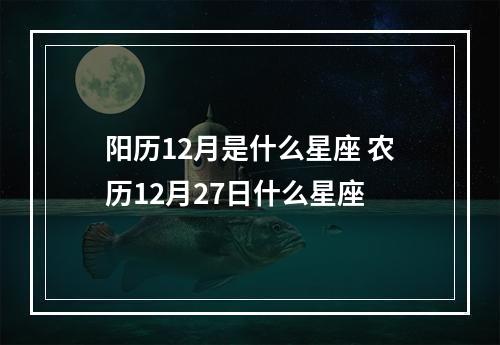阳历12月是什么星座 农历12月27日什么星座