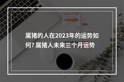 属猪的人在2023年的运势如何? 属猪人未来三个月运势