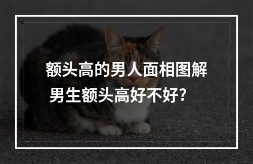 额头高的男人面相图解 男生额头高好不好?