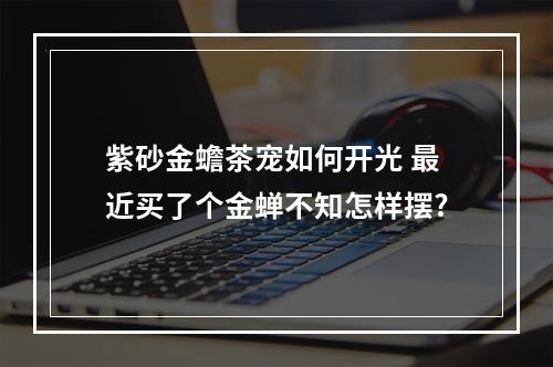 紫砂金蟾茶宠如何开光 最近买了个金蝉不知怎样摆?