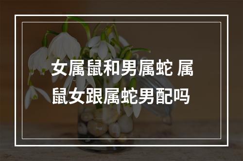 女属鼠和男属蛇 属鼠女跟属蛇男配吗