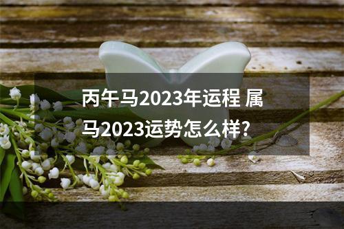 丙午马2023年运程 属马2023运势怎么样?