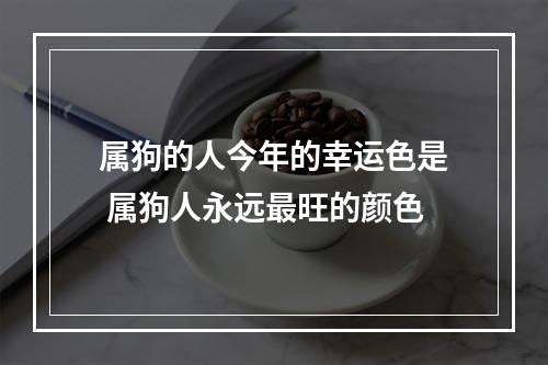 属狗的人今年的幸运色是 属狗人永远最旺的颜色