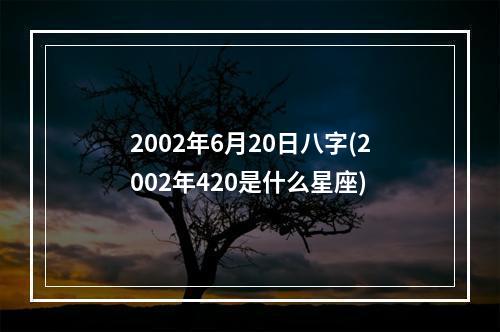 2002年6月20日八字(2002年420是什么星座)